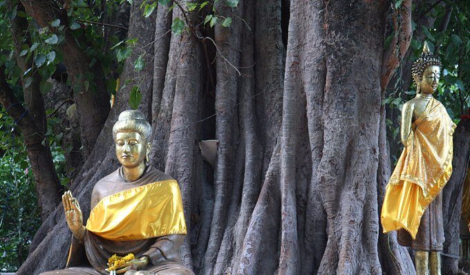 KakaoTalk_20251016_002555316_03